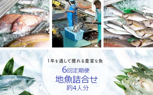 【D09001】【6回定期便】魚屋さんの選んだ新鮮お魚詰め合わせ（約4人分）