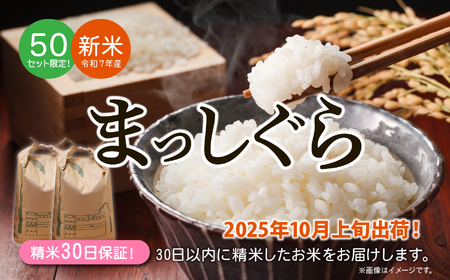青森県 六ケ所村産 まっしぐら 精米 10kg（橋本利喜雄）