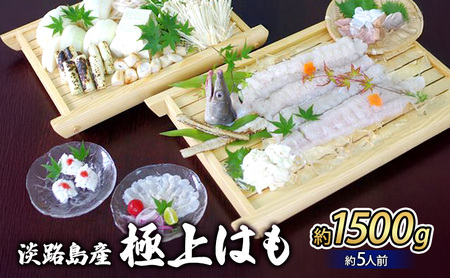 ハモの本場 淡路島産 極上 はも 約5人前 鱧 魚介 魚介類 海鮮 海鮮セット 兵庫県 洲本市 淡路島