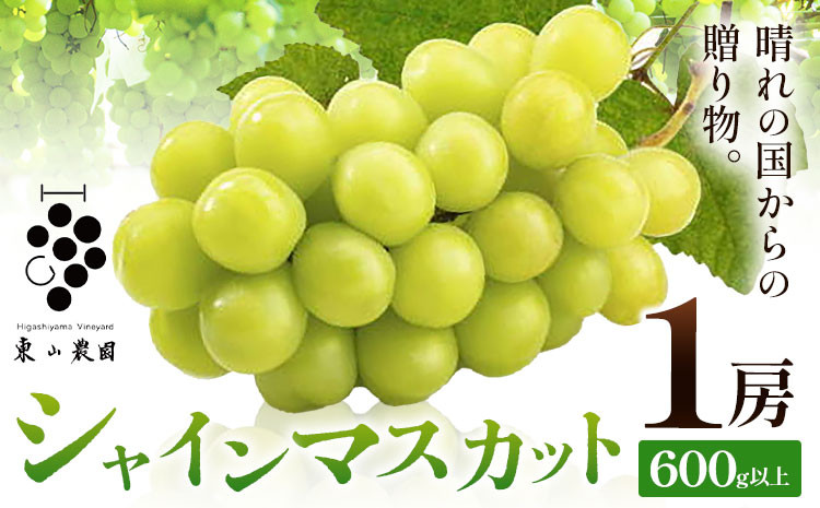 
            【2026年発送先行予約】シャインマスカット 晴れの国からの贈り物 シャインマスカット 600g 以上 1房 《2026年9月上旬-10月中旬頃出荷》 東山農園 ブドウ 葡萄 マスカット 果物 フルーツ ギフト 岡山県 笠岡市
          