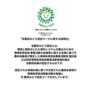 【先行予約】新丹波黒枝豆（250g×2）＆令和8年産 特別栽培米 丹後こしひかり 白米1.5kgセット 枝豆
