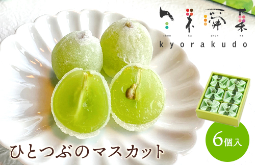 【先行受付】ひとつぶのマスカット 6個入り 5月中旬～9月中旬配送予定 共楽堂 夏季限定品 ぶどう ブドウ スイーツ デザート 和菓子 お菓子 018001