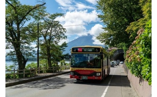 
河口湖、西湖、鳴沢・精進湖・本栖湖エリア共通フリークーポン
