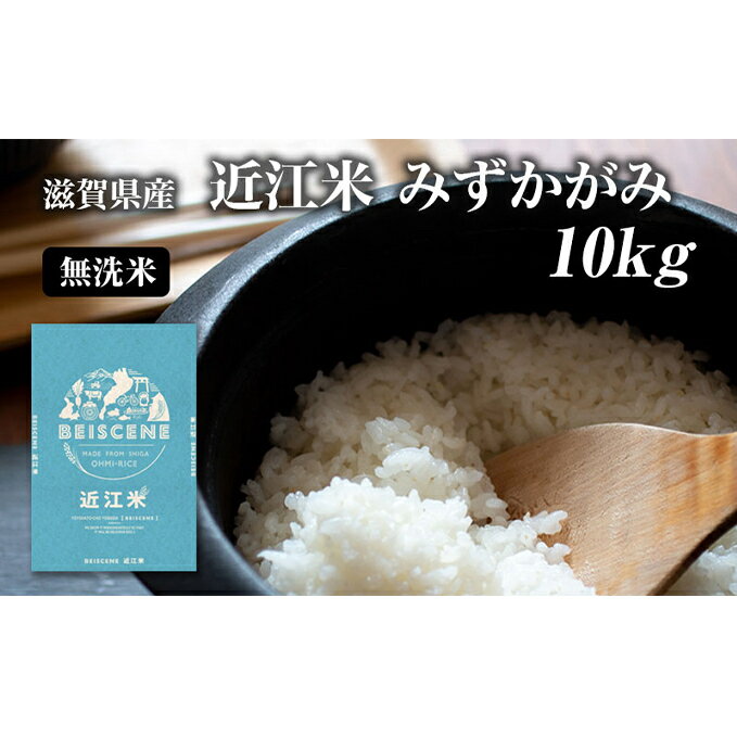 【ふるさと納税】令和7年産新米 滋賀県豊郷町産　近江米 みずかがみ　無洗米　10kg お米 　お届け：2025年10月より順次出荷開始