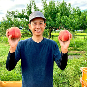 【先行予約】川中島の桃 約2kg 品種おまかせ  8月中旬～8月下旬発送予定