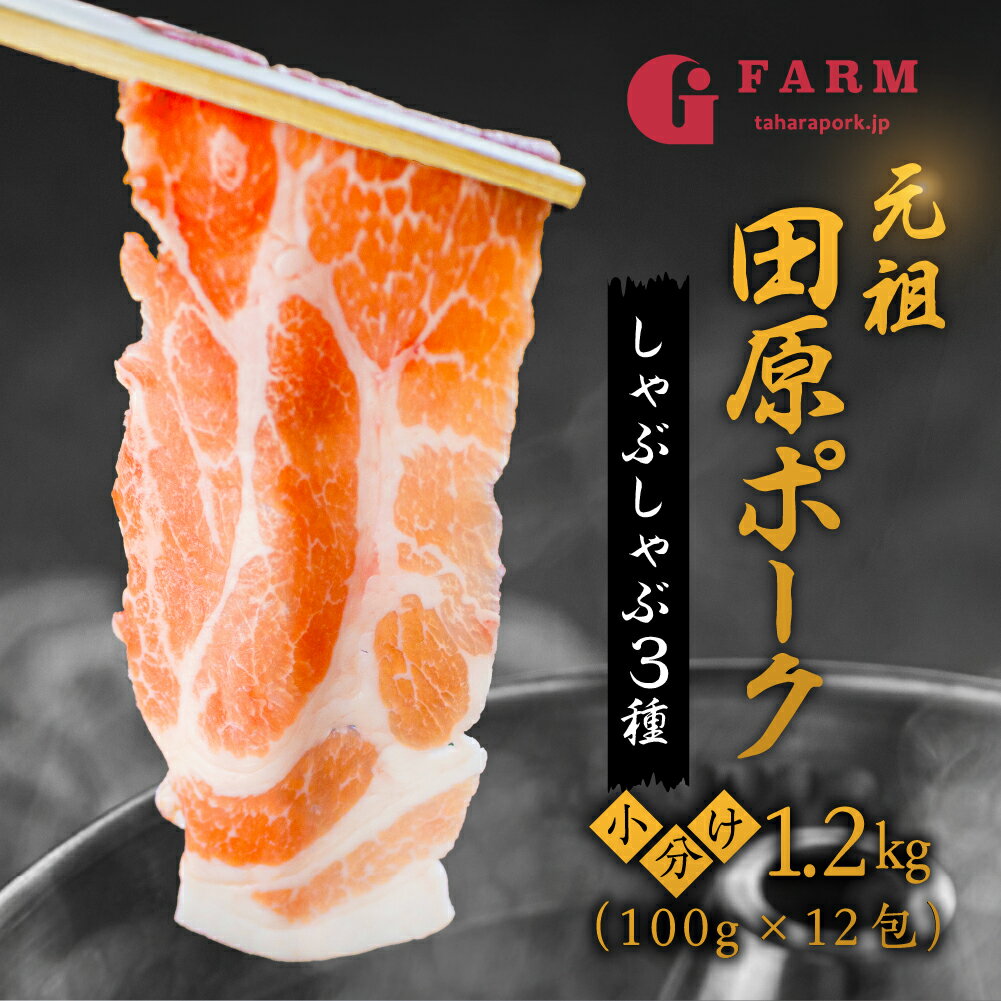 【ふるさと納税】【年内配送】 小分けが高評価☆4.87 Gファーム 豚肉 3種 1.2kg （100gずつ 小分け ） しゃぶしゃぶ用 ロース 肩ロース バラ　豚 肉 しゃぶしゃぶ ブランド豚 冷凍 田原ポーク 個包装 スライス 薄切り 豚しゃぶ ギフト 定期便 年内発送 年末発送 年末配送