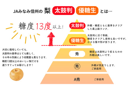 JA29-25A 【2025年先行予約】梨 南水 約2.2kg / 2025年9月上旬頃〜配送予定 // 贈答 センサー選別 糖度センサー 梨 なし ナシ 果物 フルーツ ギフト 南水 太鼓判 優糖生