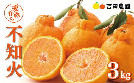 【 デコポン と同品種】 不知火 3kg みかん しらぬい 吉田農園