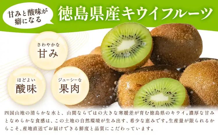 キウイ キウイフルーツ 徳島県産 ご家庭用 訳あり 2.2kg