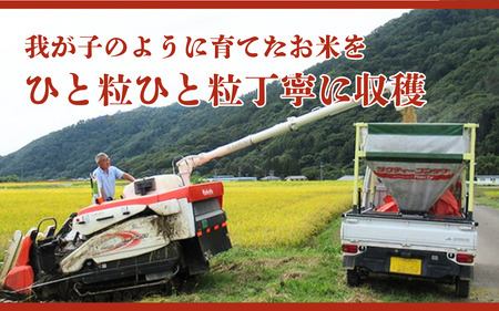 コシヒカリ 5㎏ 米 令和7年産 6ヵ月 ブランド 定期便 コシヒカリ