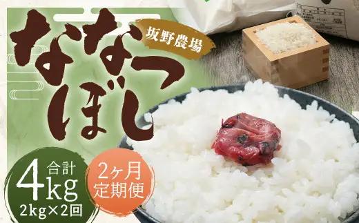 【2026年10月上旬発送開始予定】【2ヶ月定期便】らんこし米 ななつぼし約2kg