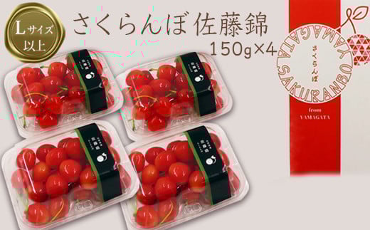 【2025年6月発送】「秀品」さくらんぼ佐藤錦約600g（L以上・150g×4パック詰）_H109(R7)