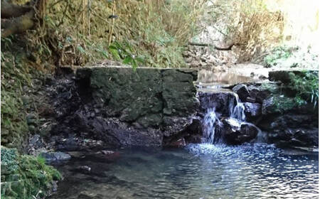 【23年度新米】津木のお米1.8ｋｇ（12合ピッタリ使い切りサイズ） 【tug400-1d8】