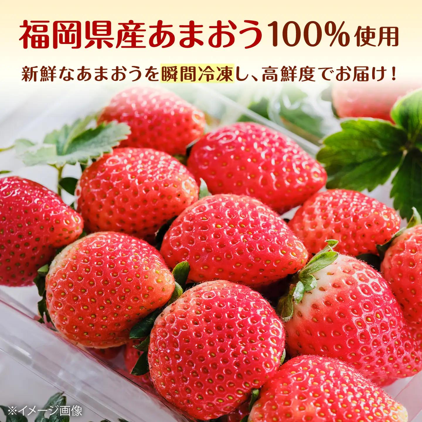 【訳あり】福岡県産 冷凍あまおう 500g （ 250g × 2個 ）　桂川町/株式会社木村食品[ADCG138]