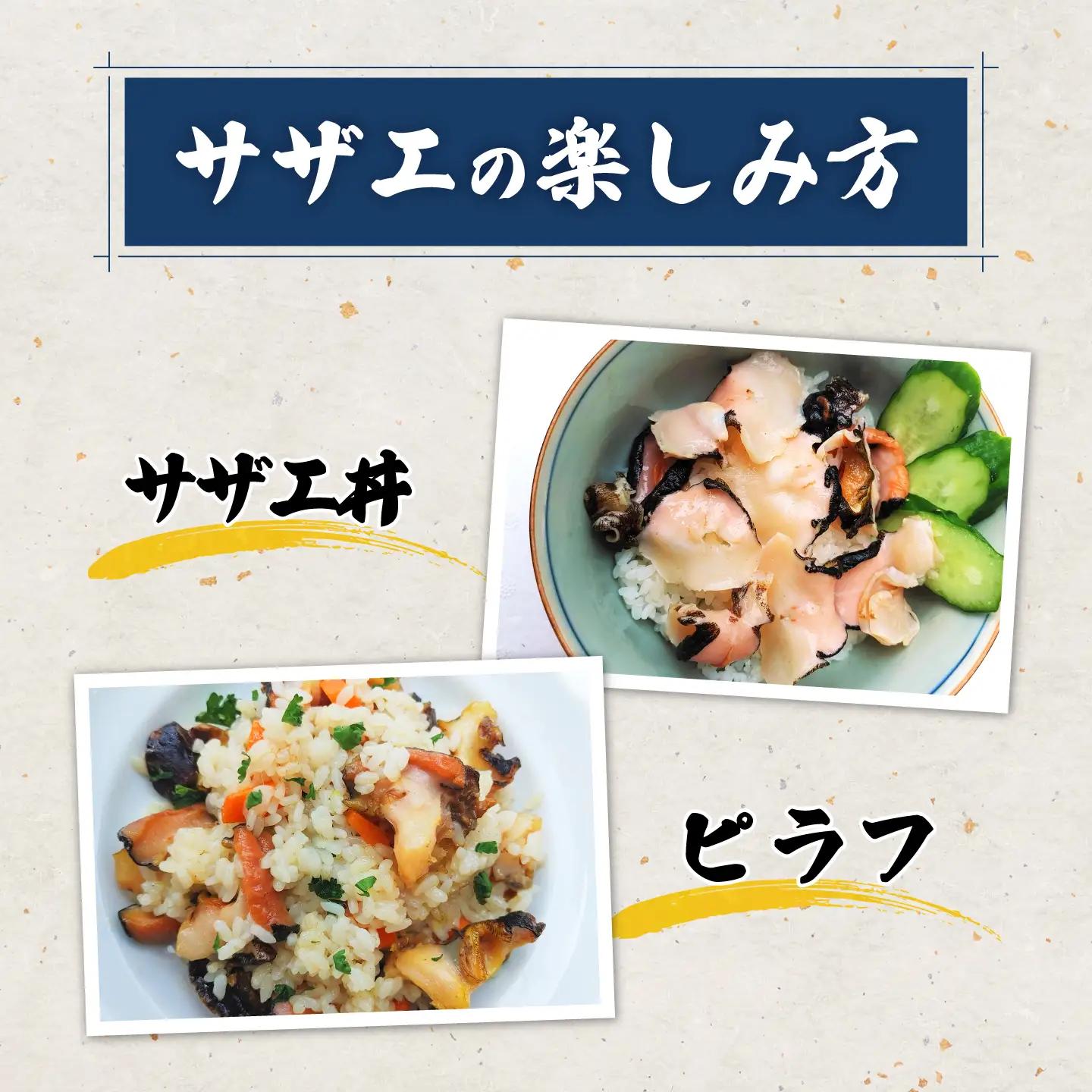 対馬産 活サザエ 刺身 100g《対馬市》【保家商事】 さざえ サザエ 刺し身 海鮮 魚貝 貝 海産物[WAA046]