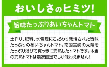 【令和9年発送】【訳あり】宮崎県産フルーツトマト「あいちゃん」3kg 