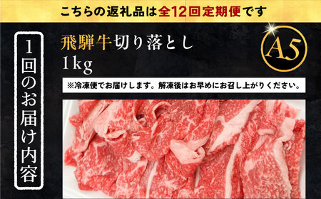 【12回定期便】 飛騨牛 切り落とし肉 A5ランク 1kg 和牛 国産 霜降り 恵那市 / 岩島屋[AUAJ035]
