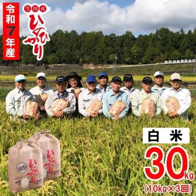 ふるさと納税 笠岡市 【令和7年産 先行受付】白米  ひのひかり 笠岡産 30kg 太陽の恵み O-07_30k_白米