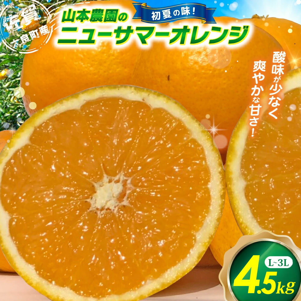 【ふるさと納税】山本農園のニューサマーオレンジ （初夏の味） 4.5kg 【2026年3月下旬～4月下旬発送予定】 N128x1