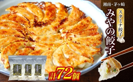餃子 みやの餃子 スタミナ にんにく 餃子【24個×3】【冷凍】