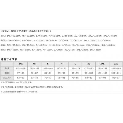 ふるさと納税 霧島市 ミズノ・ポロシャツ　ホワイト_2XS　A0-281-01 |  | 02