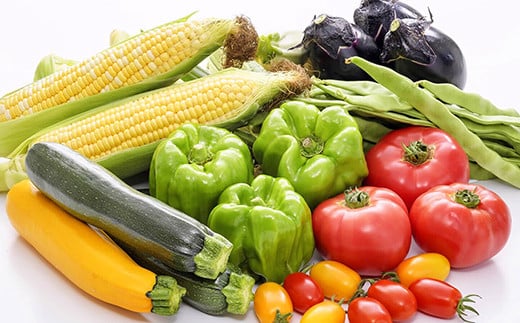 長野県信濃町産「旬の野菜3～5種おまかせセット」☆7月下旬～9月末に発送予定【ふるさと納税】