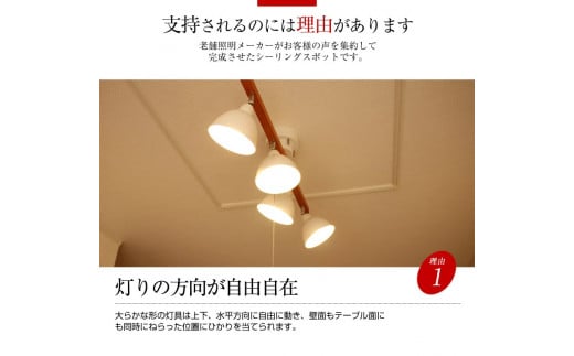 シーリングライト プルスイッチ 天井照明 LED電球色付属[629]