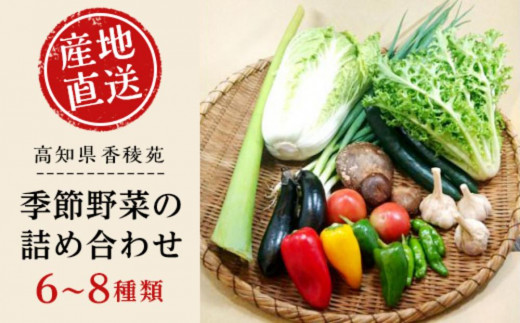 
【産地直送新鮮野菜】　高知県産　南国土佐の季節の野菜詰め合せセット【野菜セット】
