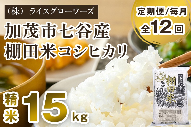 
                  【令和7年産】【定期便12ヶ月毎月お届け】七谷産 棚田米 コシヒカリ 精米 15kg（5kg×3）《順次出荷》 白米 （株）ライスグローワーズ 新潟県 加茂市産 白米 米 お米 定期便
                