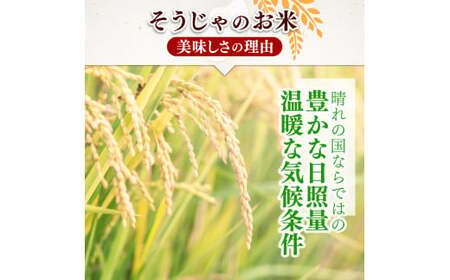 【令和7年産米】特Aきぬむすめ【精白米】30kg 定期便（15kg×2回）岡山県総社市〔令和8年4月・6月配送〕25-060-017