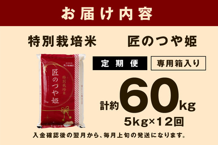 【定期便】【令和5年産】特別栽培米「匠のつや姫」 ５kg×12回コース 定期便 12回 5キロ お取り寄せ 特産 お米 精米 白米 ごはん ご飯 コメ 新生活 応援 準備 令和5年産 【1265】