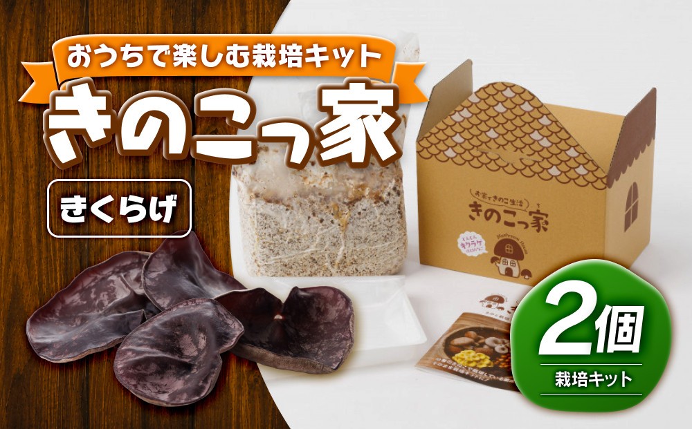 
                  おうちで楽しむ栽培キット「きのこっ家」2個セット　きくらげ×きくらげ　
                