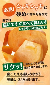 SA2715　果樹専業農家 佐藤農園の庄内柿　約5kg(29～31玉入)　L～2Lサイズ