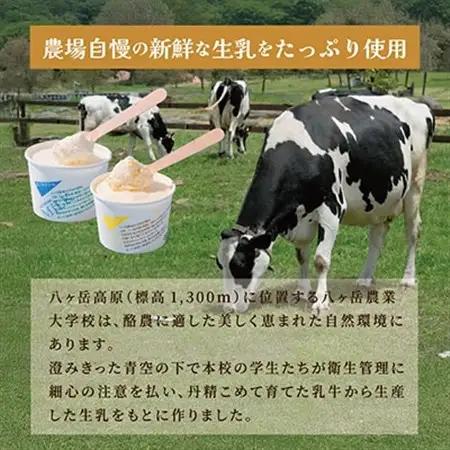 八ヶ岳農場 バニラ＆生ソフトクリームアイス 味比べセット　各6個・2種類(合計12個)_菓子・スイーツ アイス・ジェラート  _【配送不可地域：離島】【1600512】