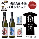 【ふるさと納税】世紀末救清酒　4種MAXセット　720ml×2本/缶180ml×2本　（北斗百裂拳、北斗剛掌波）【ケンシロウ・ラオウ　数量限定　一合缶　瓶】＋光武酒造場オリジナル北斗の拳Tシャツ　F-63 日本酒　Tシャツ 佐賀産 鹿島市産 送料無料 F-63