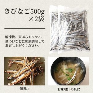 枕崎産 きびなご【合計2kg】冷凍 一夜干し 唐揚げ用 詰め合わせ AA-608【配送不可地域：離島】【1166367】