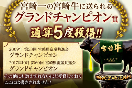 九州産黒毛和牛100％ 手ごねハンバーグ 6個セット 自家製ハンバーグソース付き 惣菜 晩御飯 晩ご飯 晩飯 夕飯 夜ご飯 夜食 洋風 和風 つまみ オリジナル たれ 壱岐ファーム 自社農場 ビーフ 