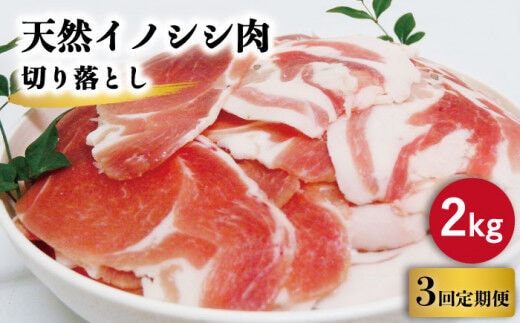 
										
										【3回定期便】ジビエ 天然イノシシ肉 切り落とし2kg（ぼたん鍋・煮込料理・野菜炒め用等）【照本食肉加工所】 [OAJ022]
									