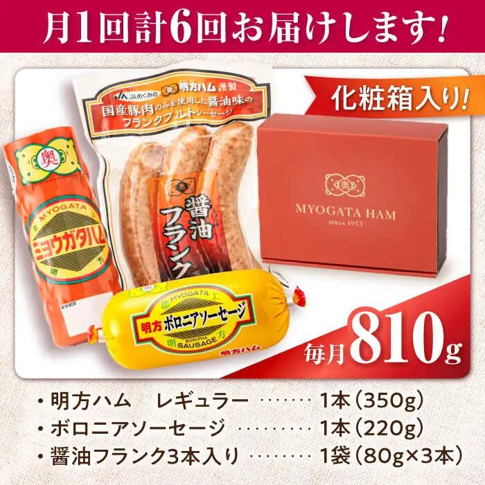 【6回定期便】明方ハム詰め合わせ Ａセット[AVBA004]ソーセージ 定期