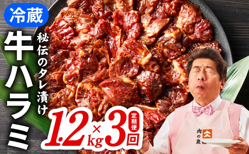 099Z564 【冷蔵配送】牛ハラミ肉 焼肉用 味付け 定期便 1.2kg（300g×4P）×全3回【定期便 お楽しみ 焼肉 ていきびん 小分け 味付け 焼くだけ 小分け BBQ やきにく 数量限定】
