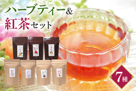 紅茶 & ハーブティー セット 生姜紅茶 ローズ紅茶 たんぽぽ茶 栗 紅茶 柿 紅茶 さくら 紅茶 さくら 緑茶 リラックス 健康茶 癒し ホットティー お茶 ハーブ フルーツティー 茨城県 石岡市 (E15-009)