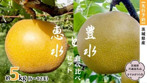 【先行予約】梨 豊水と恵水の食べ比べセット 約5kg (茨城県共通返礼品 かすみがうら市) （2025年9月中旬発送開始） 産地直送 久保田果樹園 [DH016sa]
