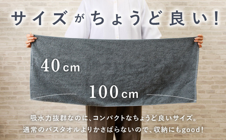 コンパクトバスタオル 6枚 シックグレー【速乾 中厚 ロングヘア―にも最適 泉州タオル 国内製造 国産 吸水 普段使い シンプル 日用品 家族 ファミリー】