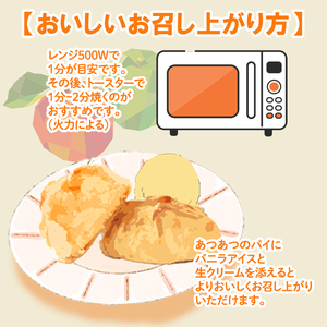 パイ 専門店 で一番 人気！ アップルパイ 7個 セット ｜ パイ 焼き菓子 スイーツ 母の日 ギフト プレゼント おすすめ りんご アップル 手作り 愛媛県 松山【AKR001】