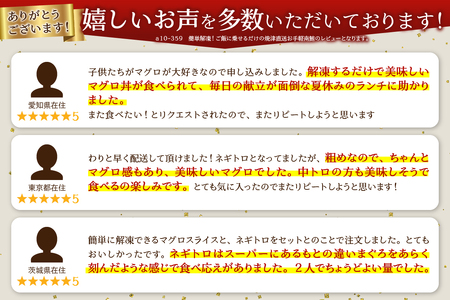 簡単解凍！ご飯に乗せるだけの焼津直送お手軽南鮪　ネギトロ　中トロ (a10-359)