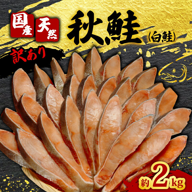 【ふるさと納税】 訳あり 国産 天然 秋鮭 （ 白鮭 ） 切り身 約2kg しゃけ 秋 さけ 鮭 調理におすすめ ムニエル フライ 鍋 鮭茶漬け ちゃんちゃん焼き 魚 魚貝 魚介 海鮮 規格外 不揃い 切身 冷凍 小分け お取り寄せ グルメ 送料無料 ふるさと納税 千葉県 銚子市 辻野
