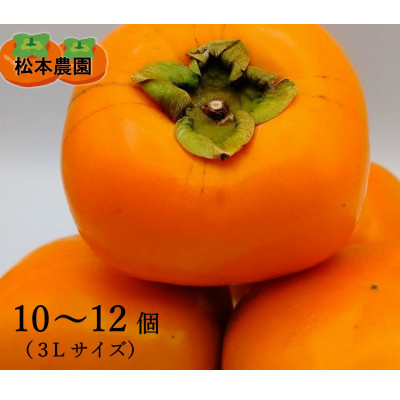 
                  ＜先行受付　2026年秋順次発送＞秋の味覚のたねなし柿(3Lサイズ　10～12個)【1508705】
                