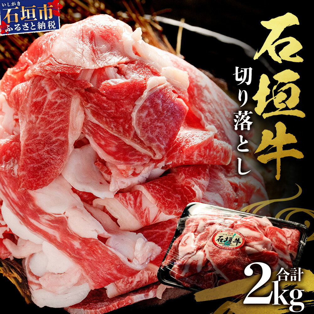 【ふるさと納税】石垣牛・切り落とし 2kg（1kg×2） 冷凍便 ｜ 沖縄県 石垣市 牛肉 お肉 切落し 小間切れ 牛小間切れ 送料無料 SI-89