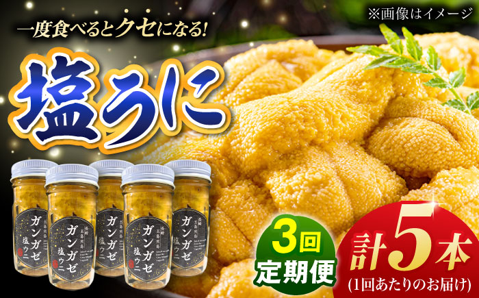 【全3回定期便】厄介うに ガンガゼの塩うに 70g×5本 / ウニ 雲丹 五島市 / うた丸 [PGA006]