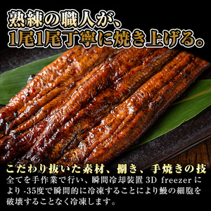 K-040 薩摩とろ鰻蒲焼(計280g：140g×2尾)【株式会社志】